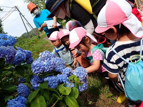 (うさぎ)のびのび保育ｉｎ里山　②