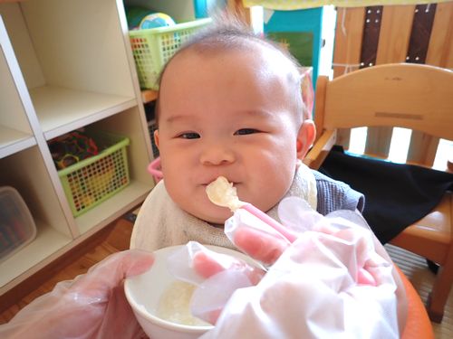 (ひよこ)いっぱい食べて大きくなあれ♪