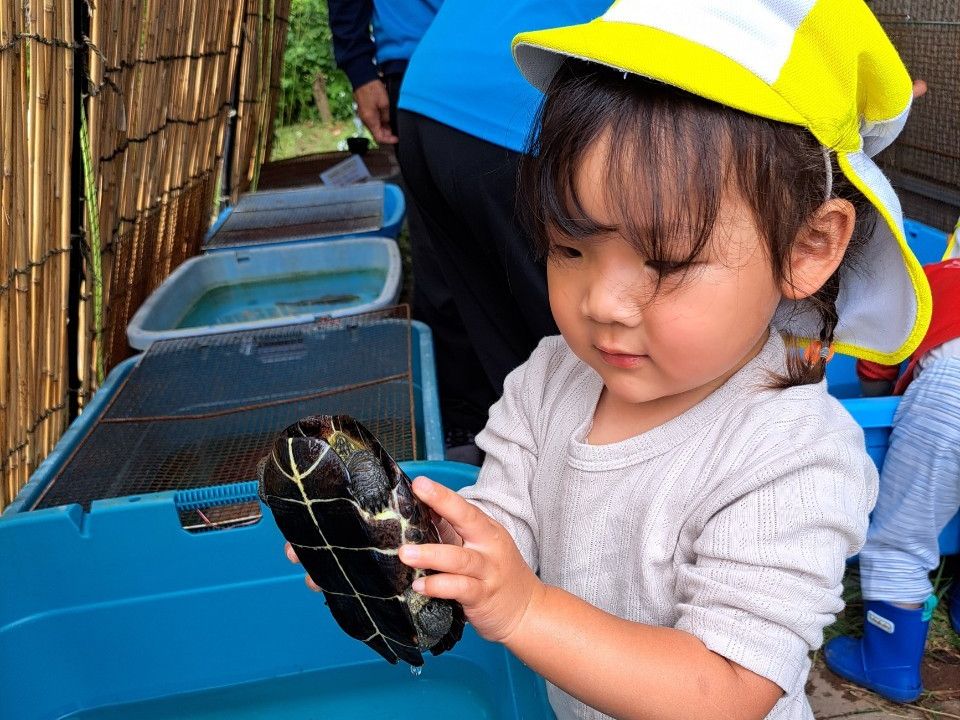(うさぎ)のびのび保育 in 里山②